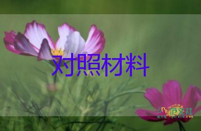 黨支部個(gè)人對(duì)照材料5篇