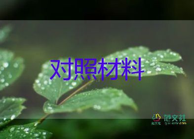 黨貞個(gè)人對(duì)照材料8篇