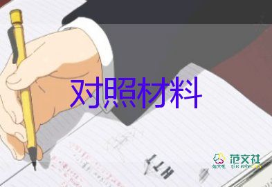 村黨支部檢查對照材料6篇