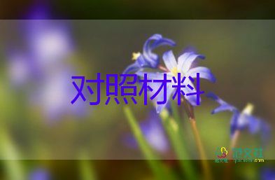 黨支部對(duì)對(duì)照檢查材料7篇