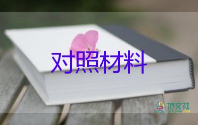 黨支檢查對照材料7篇