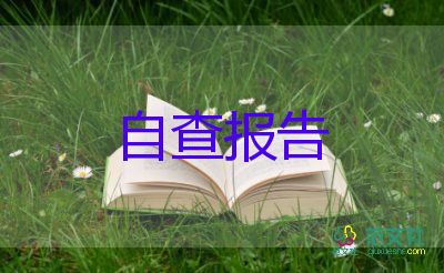 2022財(cái)務(wù)自查報(bào)告優(yōu)秀示例精選6篇