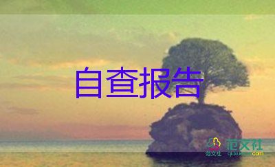 年報(bào)告總結(jié)優(yōu)質(zhì)6篇