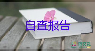 學(xué)生會(huì)個(gè)人工作總結(jié)報(bào)告6篇