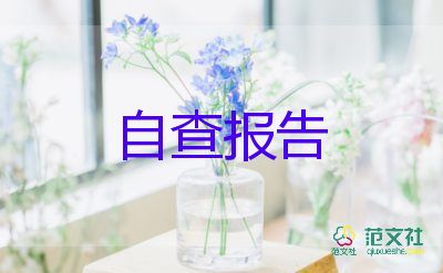 2024暑期調查報告優(yōu)秀6篇