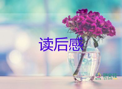 周末圖書讀后感8篇