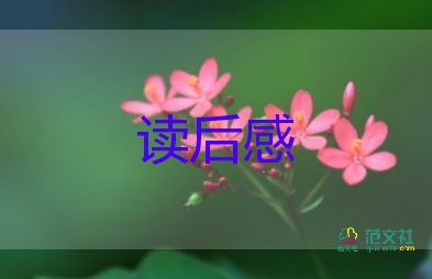 狼到讀后感優(yōu)質(zhì)7篇