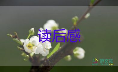 子衿讀后感100字6篇