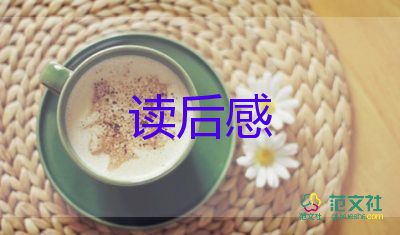 蘆花渡讀后感6篇