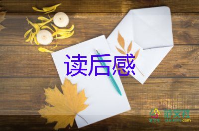 流浪狗讀后感參考7篇