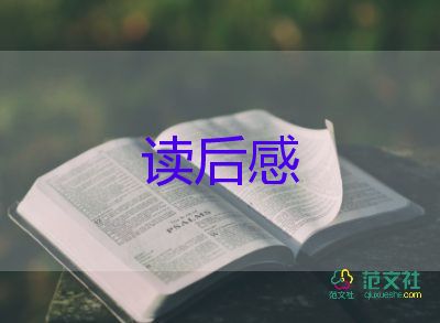 關(guān)于規(guī)矩和愛讀后感實用范文3篇