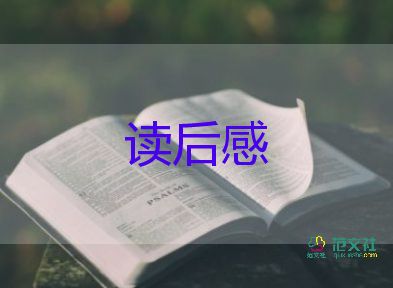 我的小說讀后感8篇