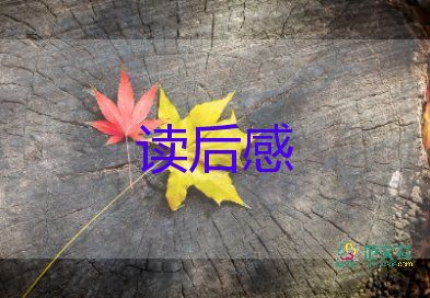 伊索寓言狼與狗讀后感精選7篇