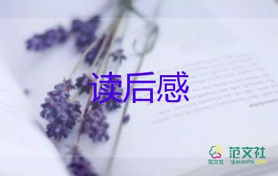 蘇菲的讀后感優(yōu)秀8篇