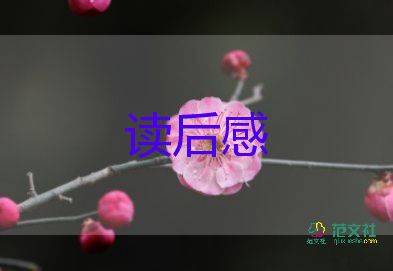 糖人的讀后感6篇