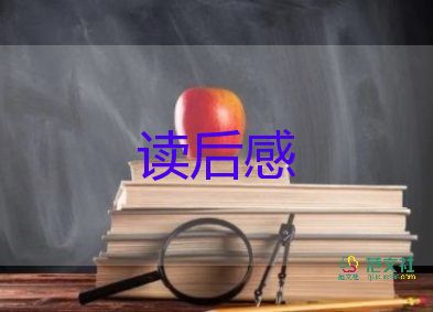 數(shù)學(xué)倍的讀后感7篇