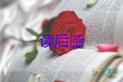 四大名著讀后感400字5篇