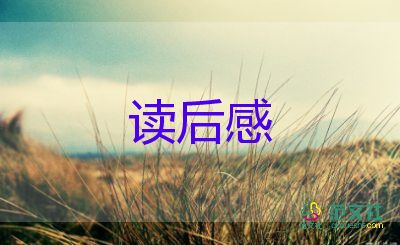 三毛從軍的讀后感8篇