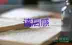 以夢為馬的讀后感200字優(yōu)質(zhì)6篇