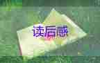 《島》讀后感800字優(yōu)質(zhì)5篇