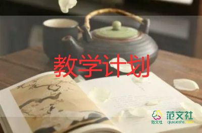 專業(yè)技術(shù)教學(xué)工作總結(jié)6篇