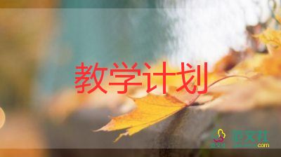 計(jì)算機(jī)專業(yè)教學(xué)計(jì)劃5篇