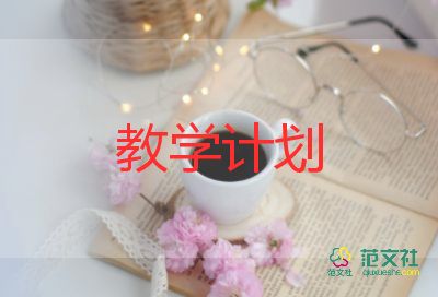 346教學(xué)心得體會模板5篇