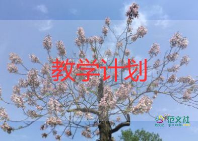 2024年初中數(shù)學(xué)教學(xué)工作總結(jié)精選5篇