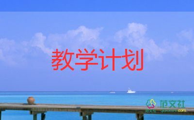 大班及教學(xué)計(jì)劃精選7篇