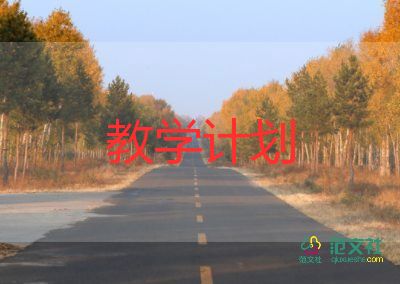 小學(xué)美術(shù)年級教學(xué)計劃5篇