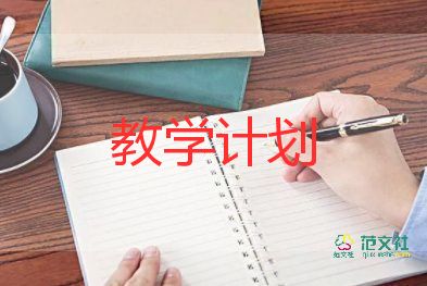 2023舞蹈組教學(xué)計劃優(yōu)秀8篇