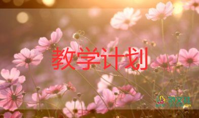 英語老師年度教學(xué)計劃6篇