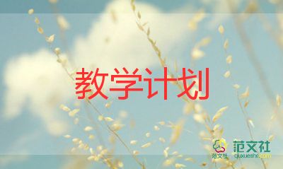 教學(xué)教案反思5篇