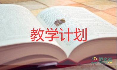 白與黑教學(xué)反思優(yōu)秀5篇