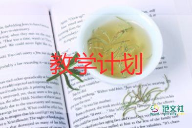 一學(xué)年美術(shù)教學(xué)計劃5篇