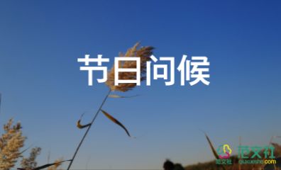 過節(jié)日教案6篇