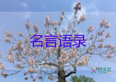 感動！“義墩墩”含淚告別冰墩墩