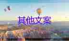 2023年起不再發(fā)放就業(yè)報(bào)到證，就業(yè)的心得體會(huì)