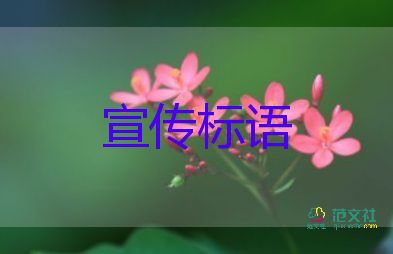 2021大學(xué)秋季運(yùn)動(dòng)會(huì)條幅標(biāo)語37句