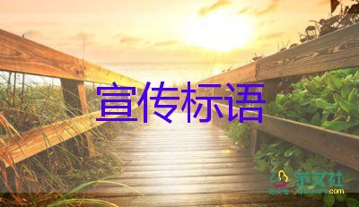 保護(hù)環(huán)境保護(hù)生態(tài)宣傳標(biāo)語6篇