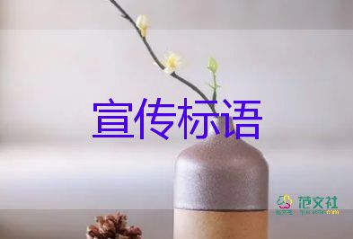 光盤行動(dòng)宣傳標(biāo)語參考150句