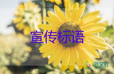 最新有關(guān)確診485例全市全面消殺的西安疫情情況