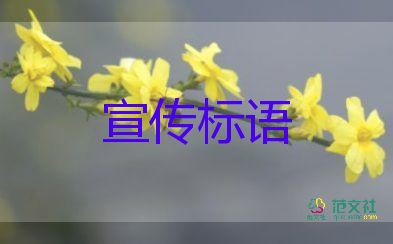 藏在細節(jié)里的6.18的冷清暗戰(zhàn)，消費的心得體會3篇