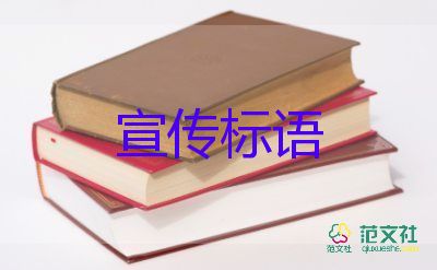 探訪(fǎng)第一批解封的上海人：靜止多時(shí)的街市動(dòng)了起來(lái)