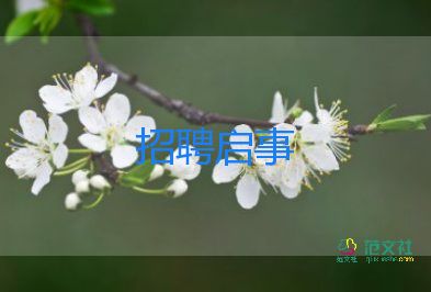 校園招聘活動(dòng)總結(jié)5篇