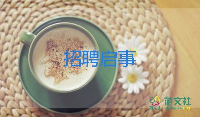 招聘個人工作計劃5篇