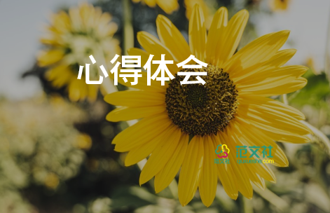 教師個(gè)人心得體會(huì)推薦8篇