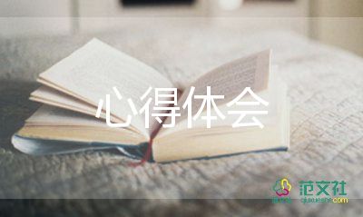 個人工作心得體會6篇