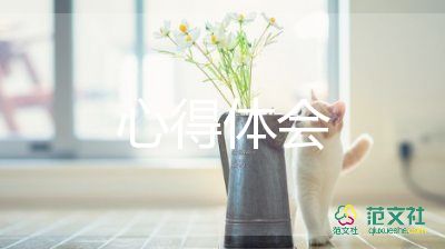 教師個(gè)人心得體會(huì)參考8篇