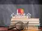 小學(xué)語文培訓(xùn)站培訓(xùn)心得優(yōu)質(zhì)8篇